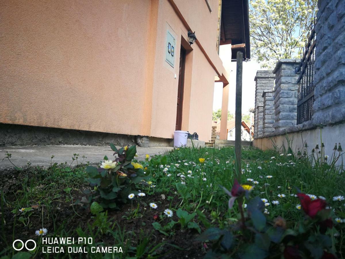 Apartment Neo Bihać Exteriér fotografie